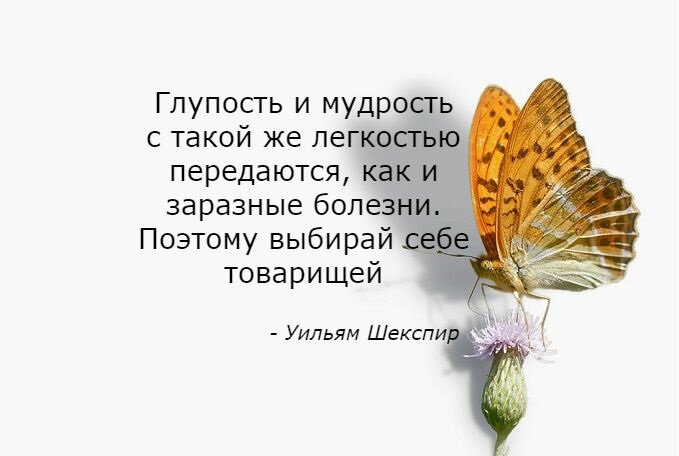 Картинка найдена на просторах интернета.