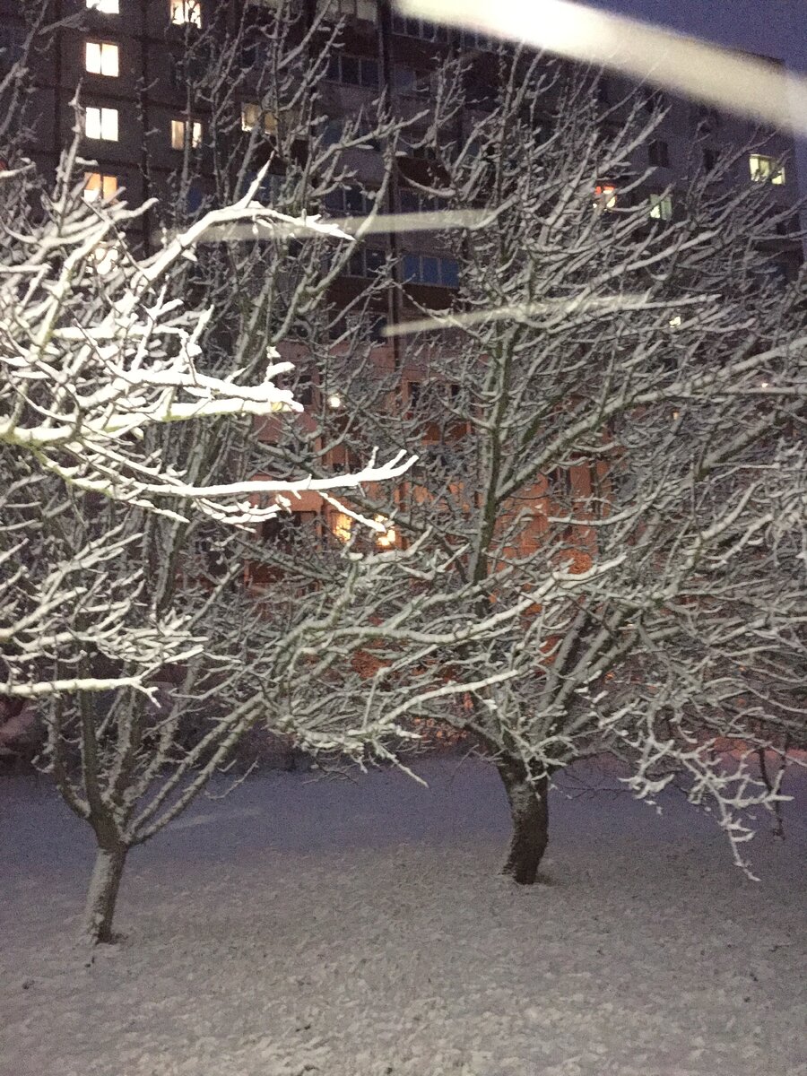 Январь. Керчь