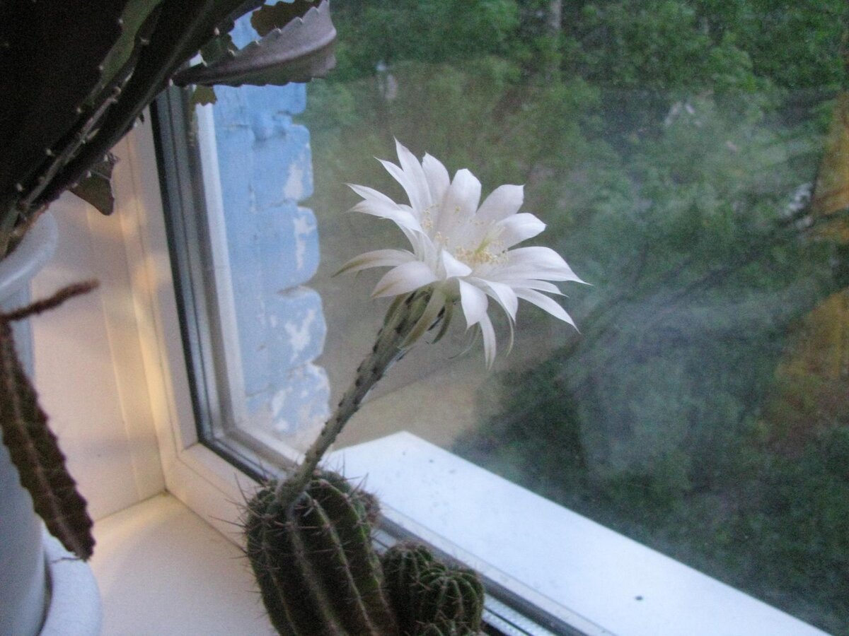 Желаю, чтобы у всех была старость в радость. Фото мое.