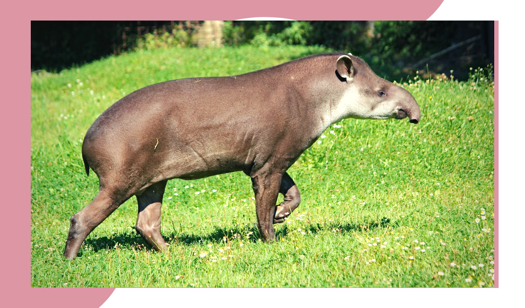 Фотография из открытых источников