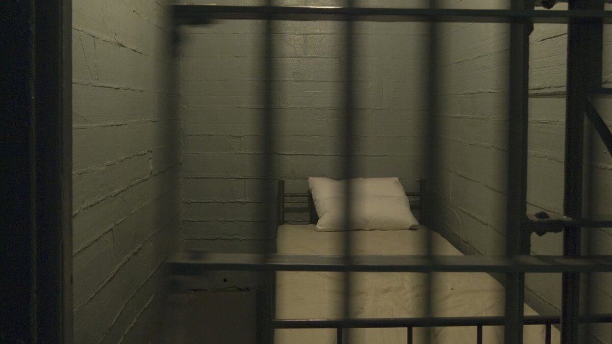 Prison много денег. Синяя тюрьма аватарки. Котенок серый в тюрьме на койке