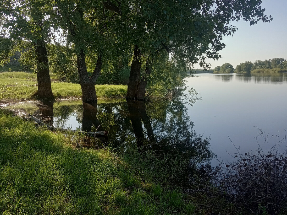 Рыбалка на реке иргиз