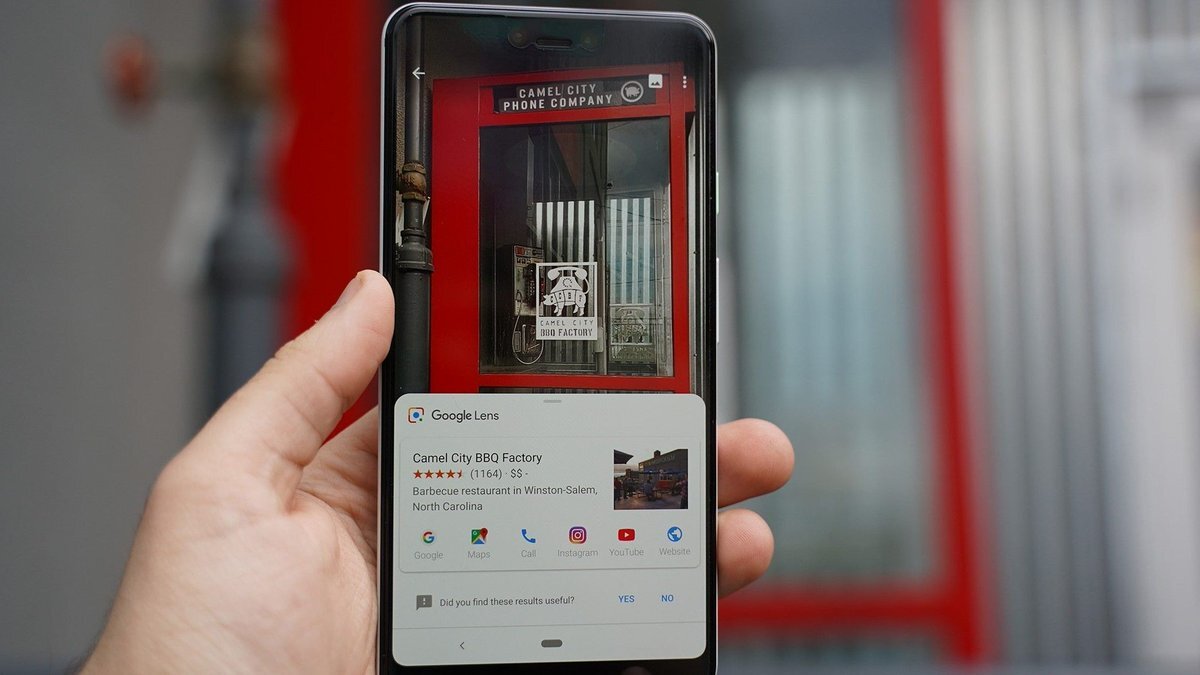Google Объектив пригодится для поиска информации о предметах, растениях и животных