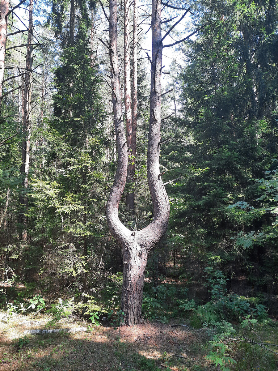 Найти свой путь в жизни, дело не из лёгких