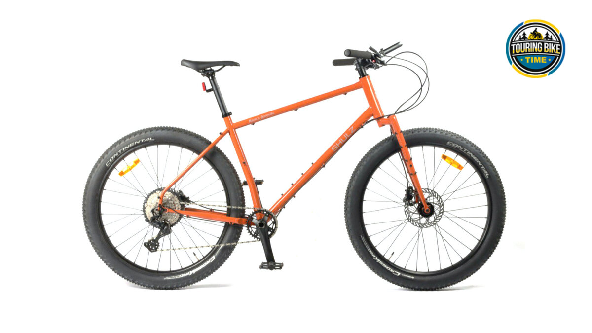 Последние утечки релизных фотографий Shulz Mom's Favorite для сайта 