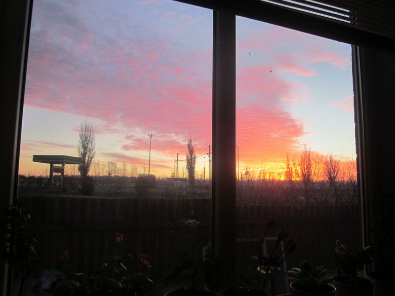 Собственное фото автора. Сделано из окна своего дома. Рассвет 13 ноября 2016 года