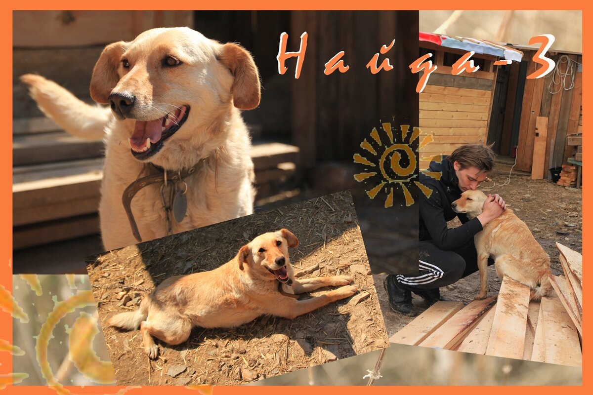 Найда
