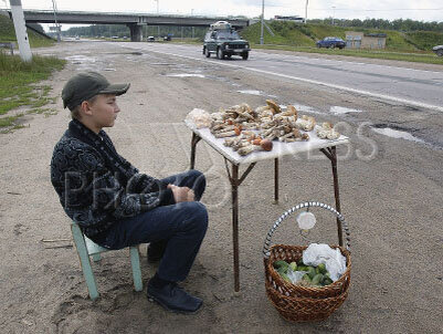 Фото взято из открытого источника