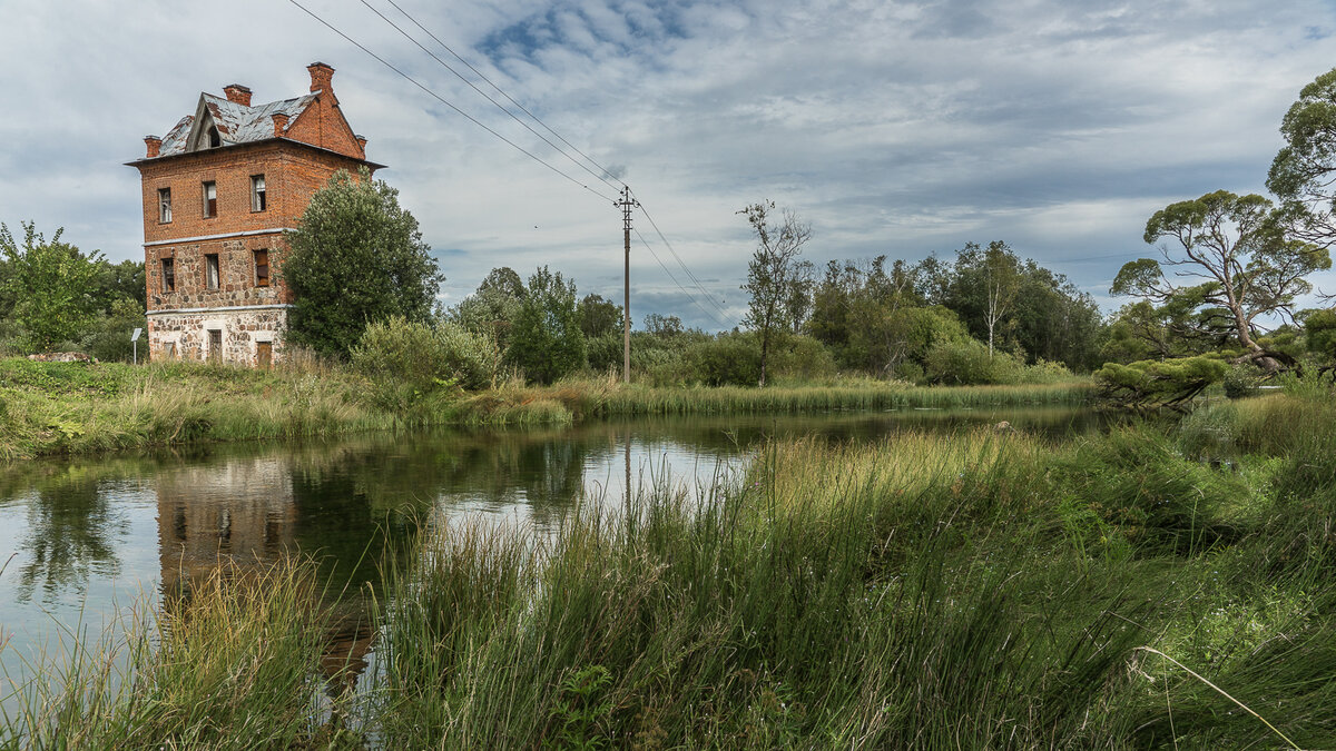 Парк усадьбы Рериха. Фото Александра Сергеева (с).