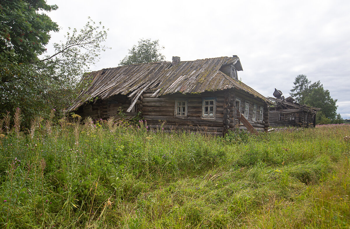 Заброшенная деревня Кучепалда. Архангельская область. Фото автора статьи (ещё 1 фото)