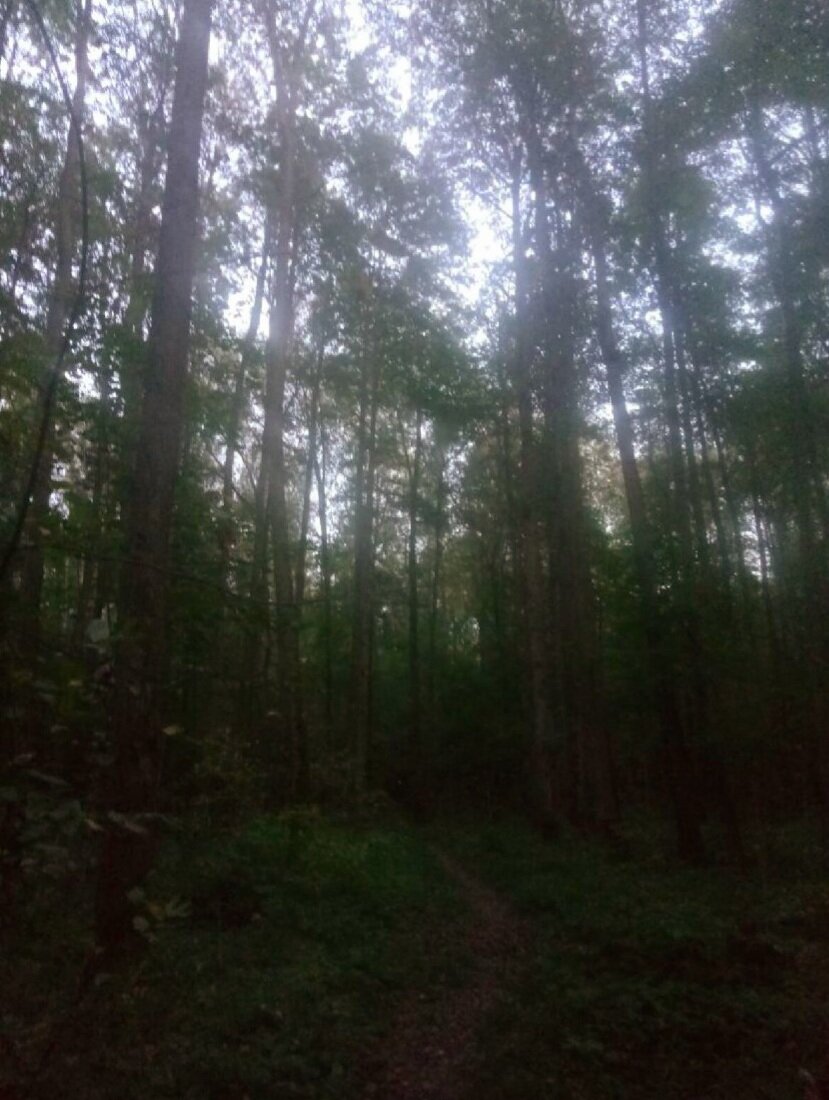 Иллюстрация - фотография автора рассказа