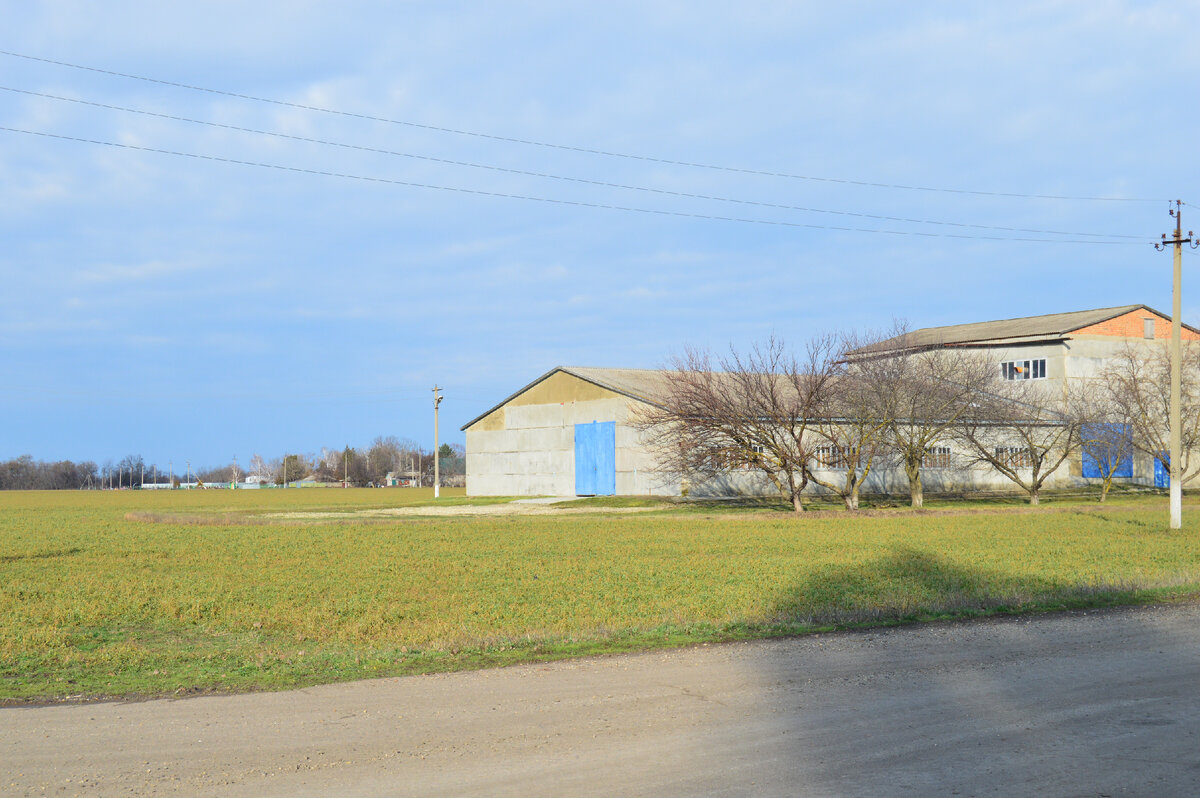 Фото автора. Колхозные маслобойня и мельница. Сейчас они за консервированы.