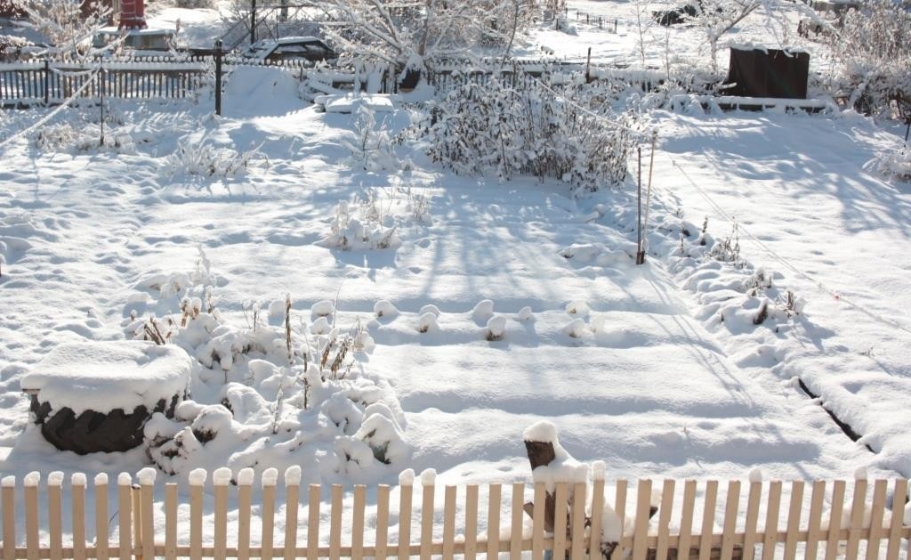 Даже зимой можно использовать грядки для посева (фото с сайта usefulplant.ru)