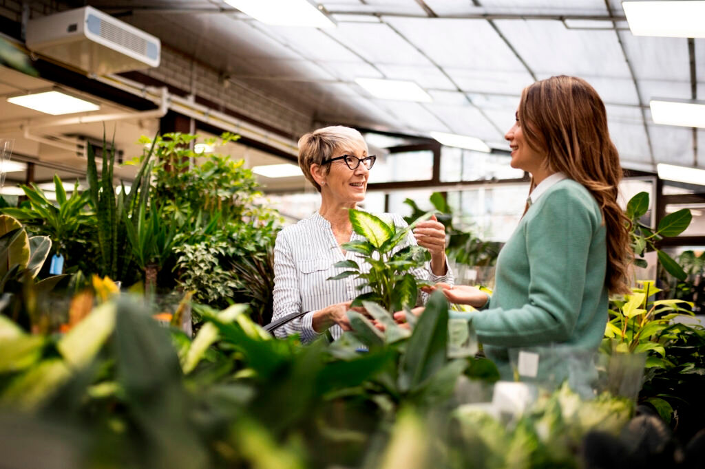 Парник для цветов