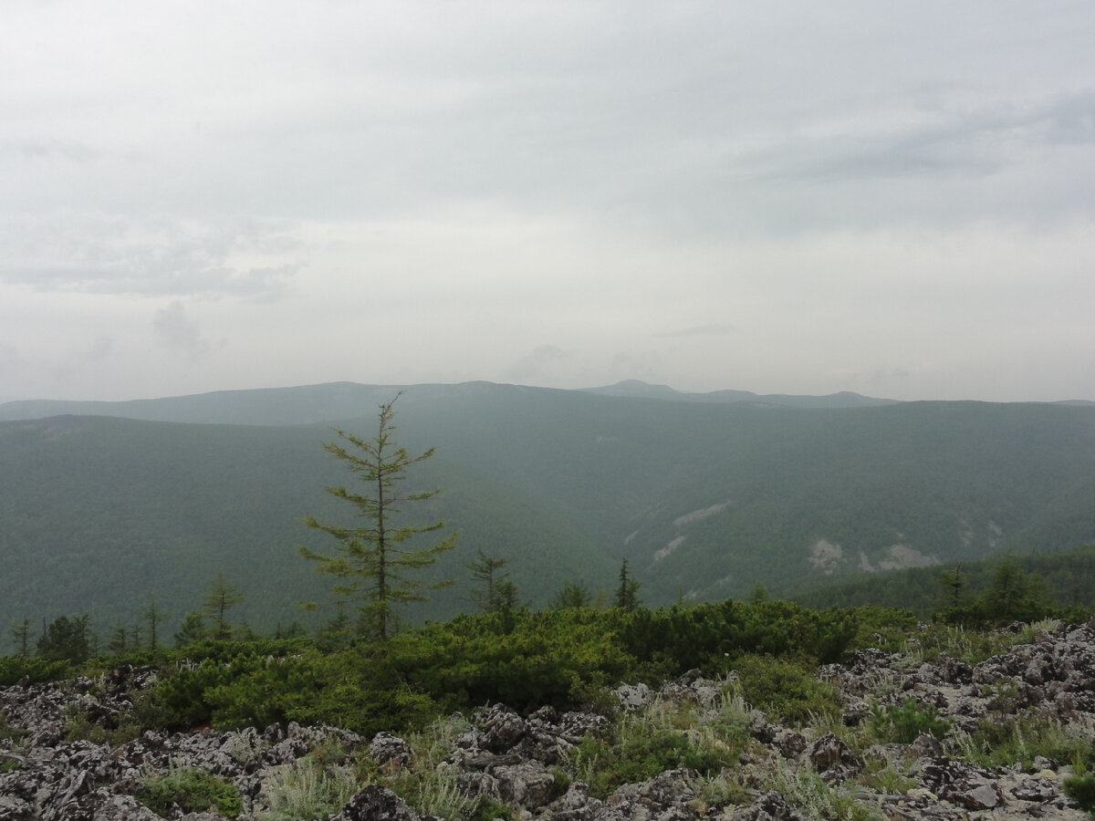 Безлюдные миры Бикинско-Единкинского водораздела