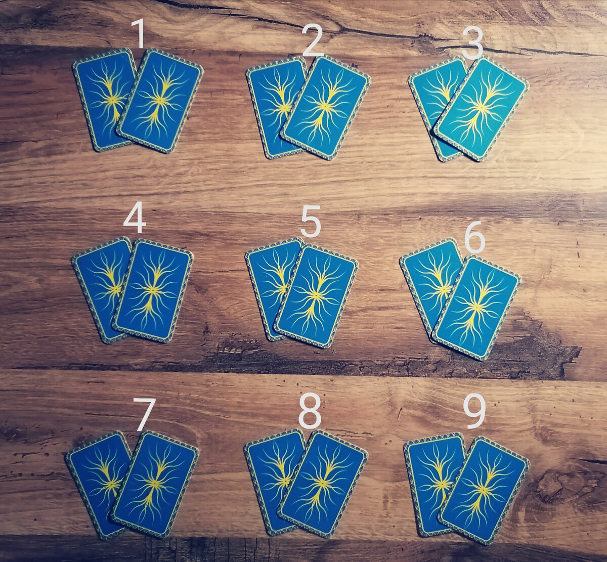 Выберите один вариант 