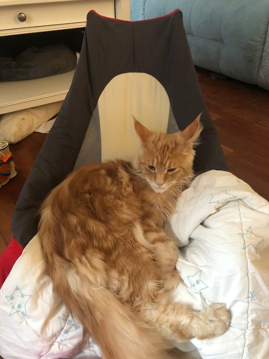 Фото из личного архива.