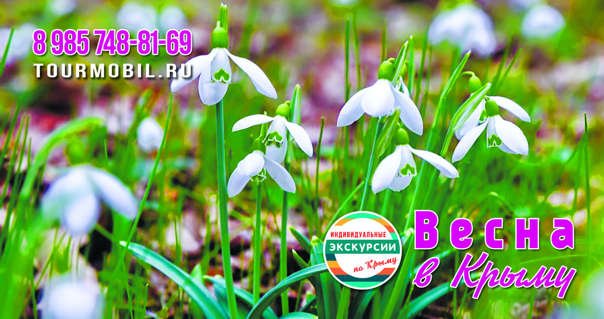 Февраль. Зацвели подснежники