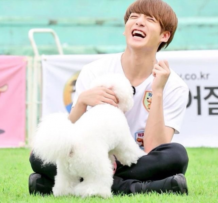 Run BTS. Куки и пушистый партнер