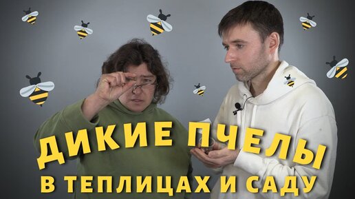 Опылители в теплице. Или как подружиться с дикими пчелами