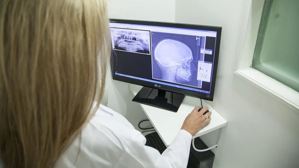 Фото: pixabay.com 