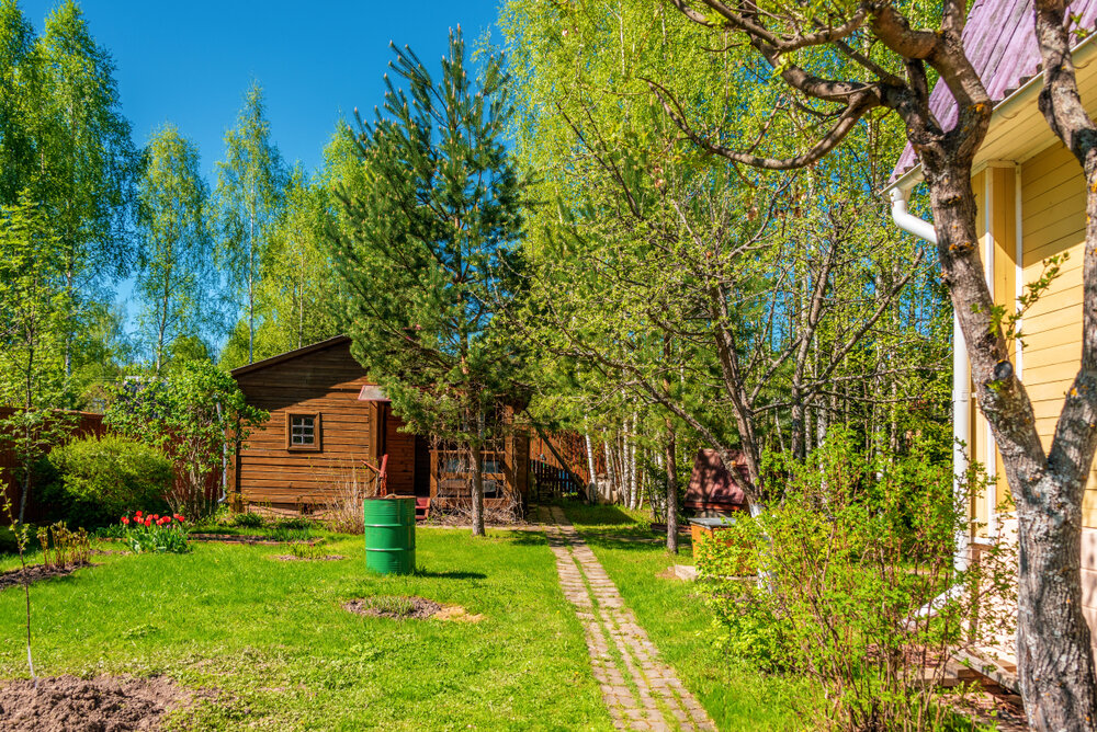 Дачные объединения. Дача Сток Россия. Фото экология на даче.