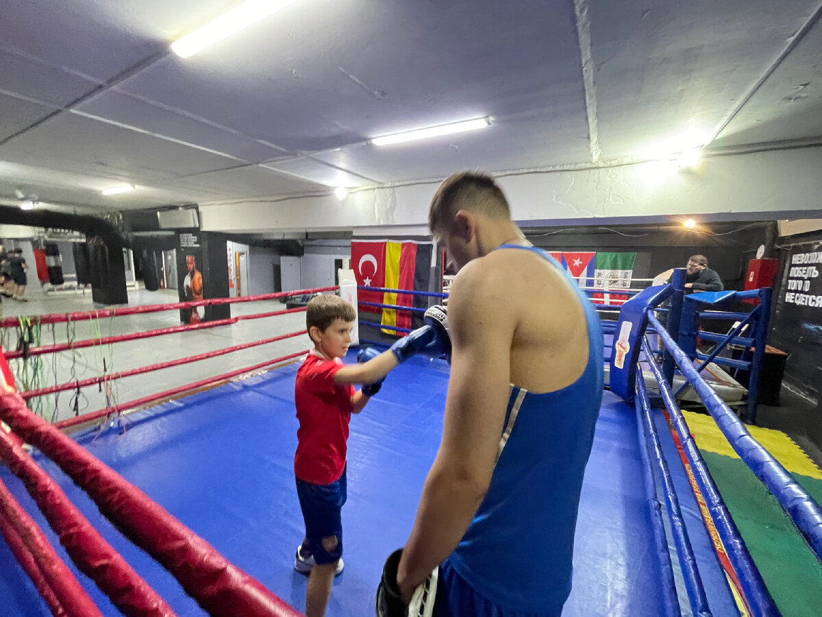 Узнай о боксерах то, чего не знал до этого