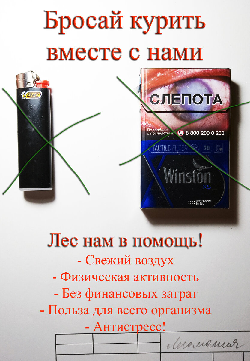 Избавиться от табакокурения можно бесплатно и Лес поможет нам осуществить цель!