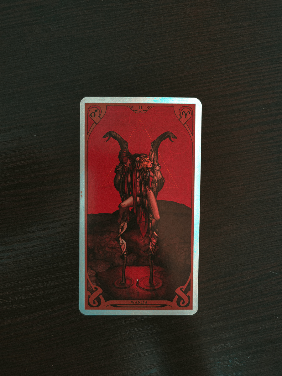 #таро #предсказания #предсказание #картадня #таролог #прогноз 