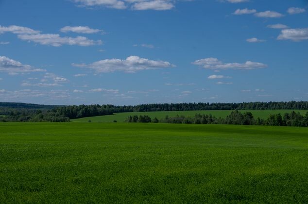    Просторы Костромской области Наталья Диева © ИА REGNUM