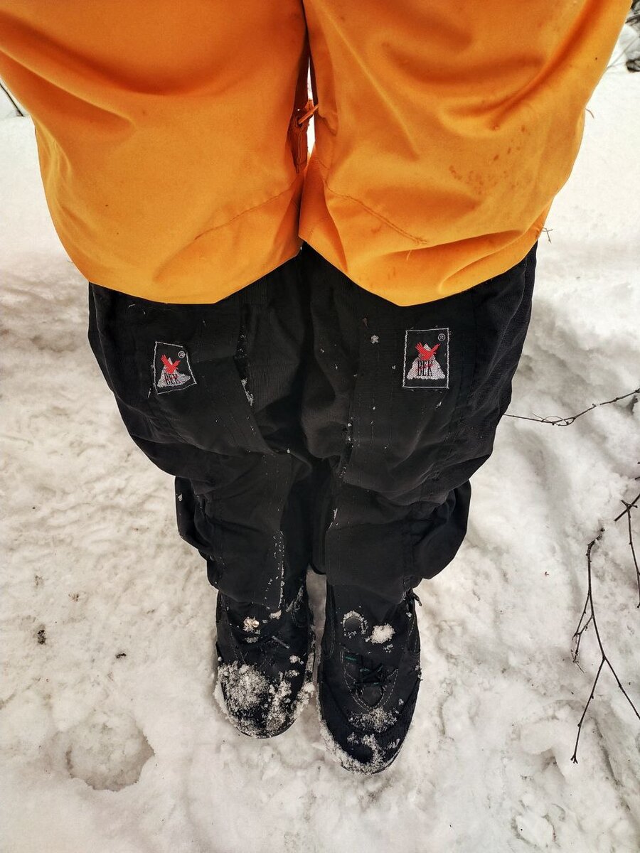 К прогулке по лесу готова