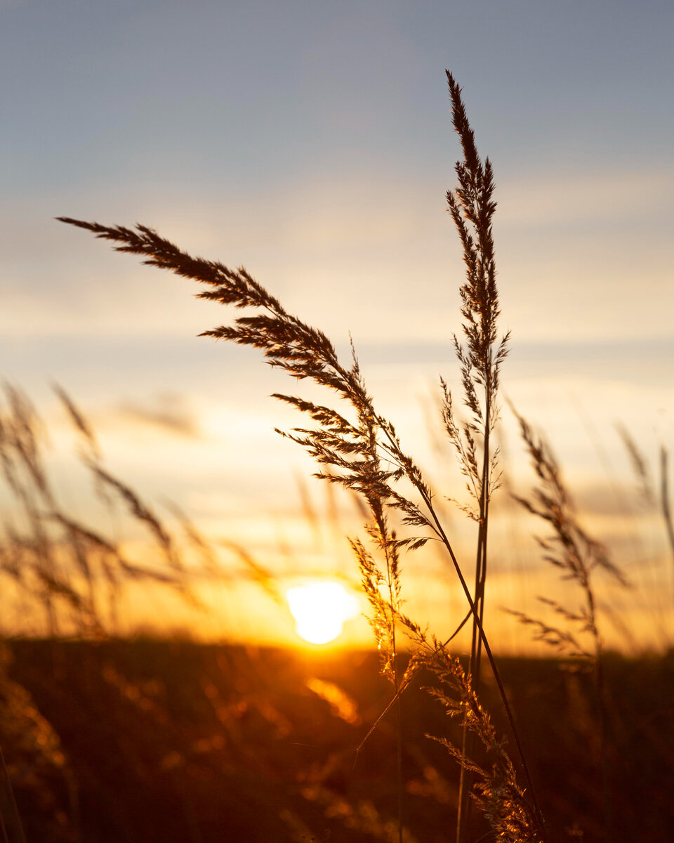Изображение от <a href="https://ru.freepik.com/free-photo/inspiring-view-of-morning-light_12413384.htm#query=%D1%80%D0%B0%D1%81%D1%81%D0%B2%D0%B5%D1%82&position=3&from_view=search&track=sph">Freepik</a>