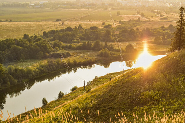    Разнотравье по-вятски: составы цветочного мёда по районам Кировской области