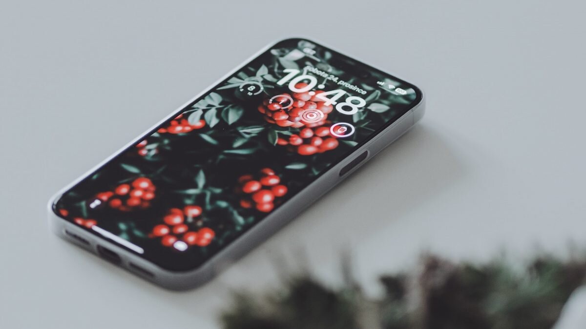    Фото: Unsplash Август Макаров