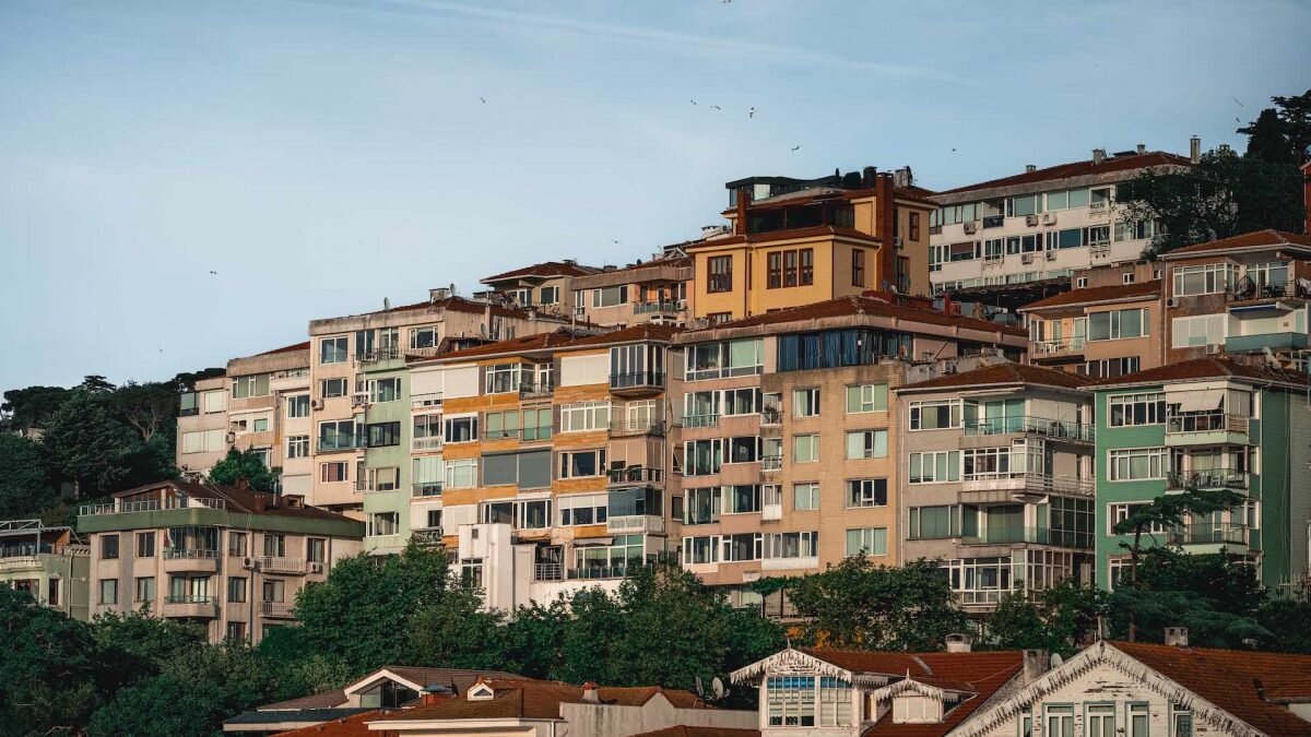    Фото: Unsplash Август Макаров