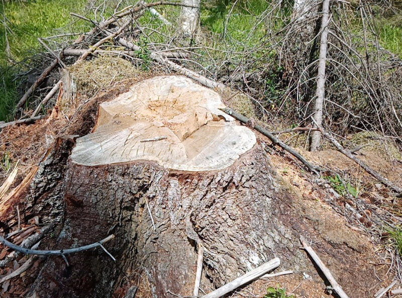 ФОТО: ПРЕСС-СЛУЖБА ГУ МВД РОССИИ ПО ЧЕЛЯБИНСКОЙ ОБЛАСТИ.