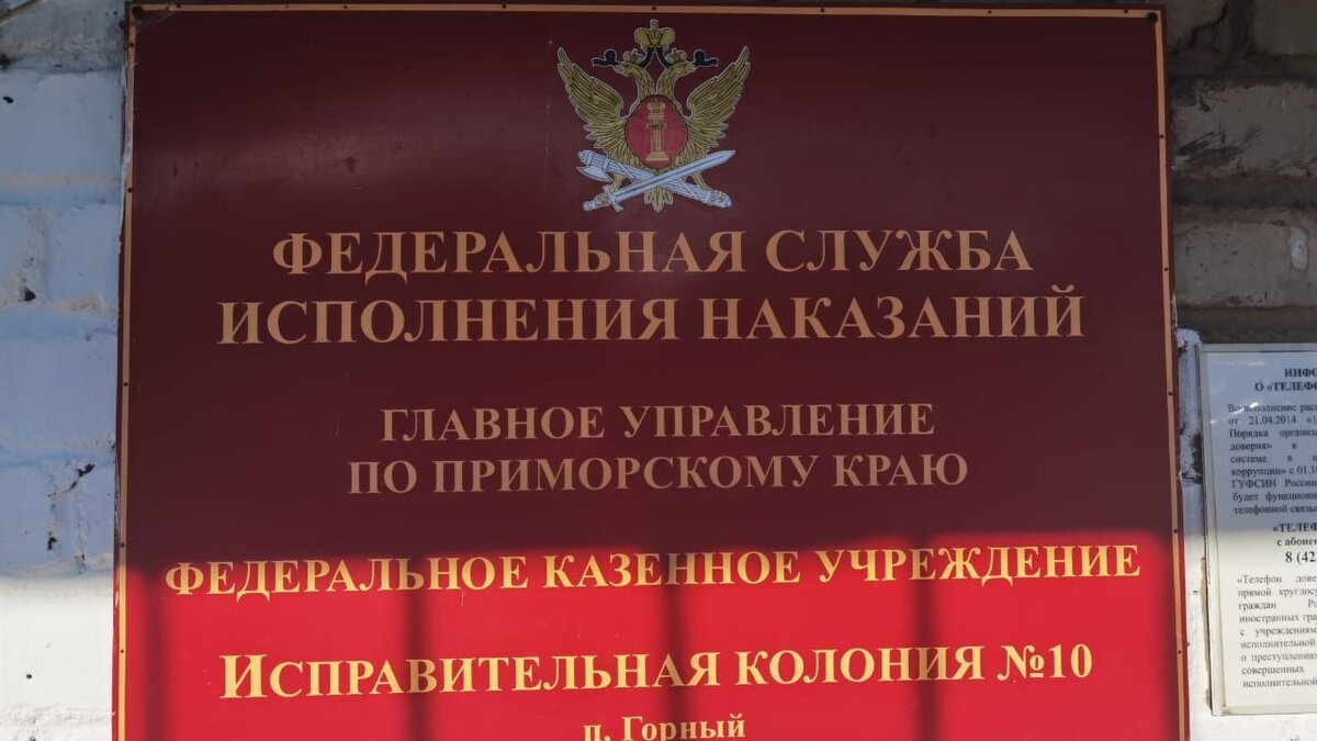 Не плачь, глаза закрой: в приморской колонии насильно бреют заключенных  девушек? | Восток-Медиа | Дзен