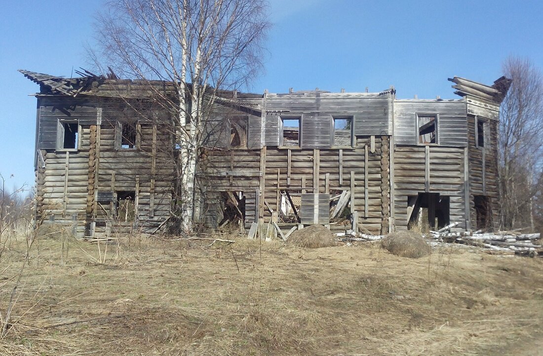 Шенкурский район
