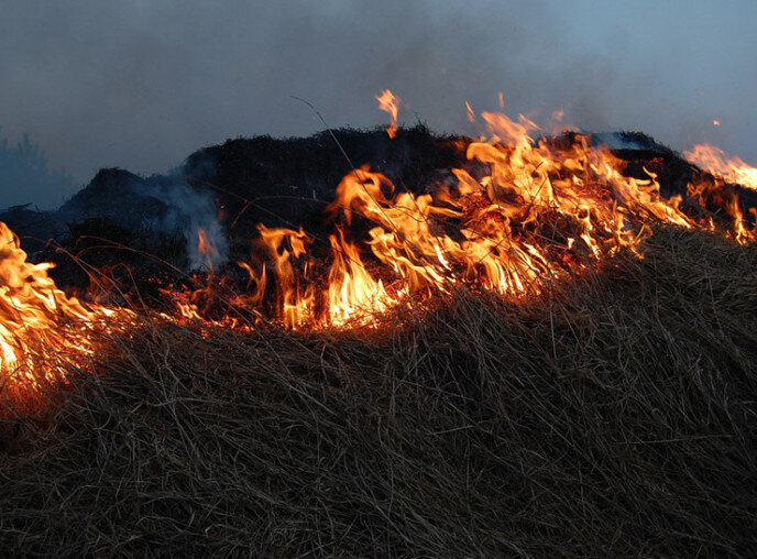 Фото: pixabay.com