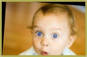 Фотография взято с интернета