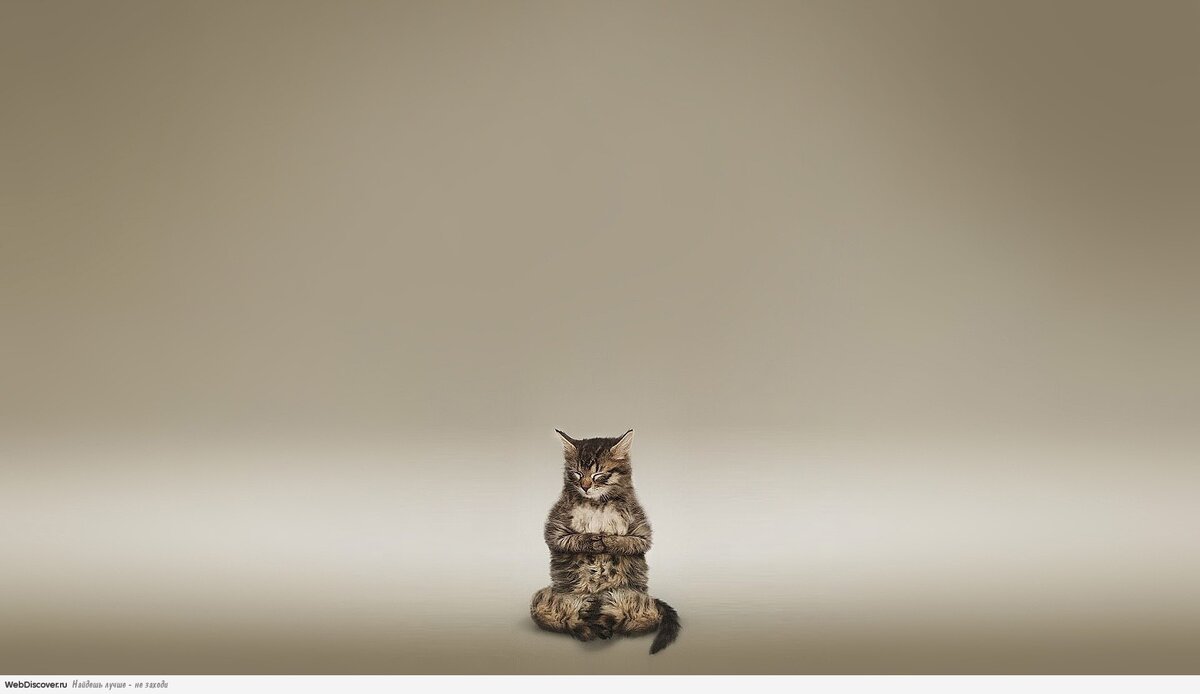 источник фото: Яндекс.картинки