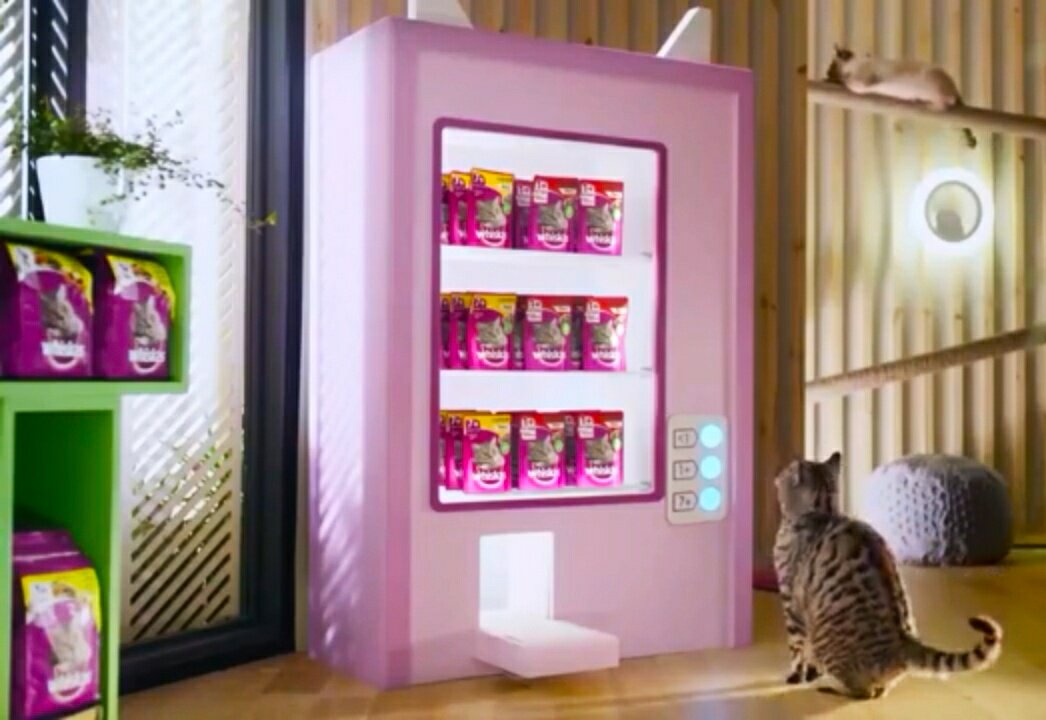 Действительно ли кисы выбирают Whiskas?
