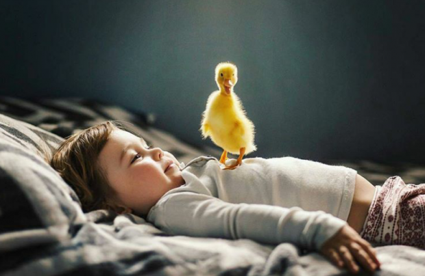 Счастье в мелочах...