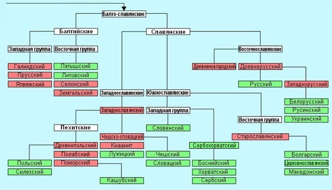 Группа ветвь языков