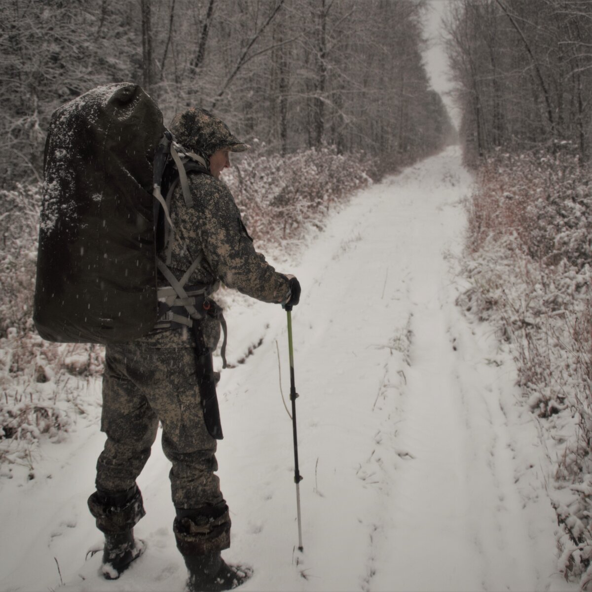 Дороги, которые мы выбираем