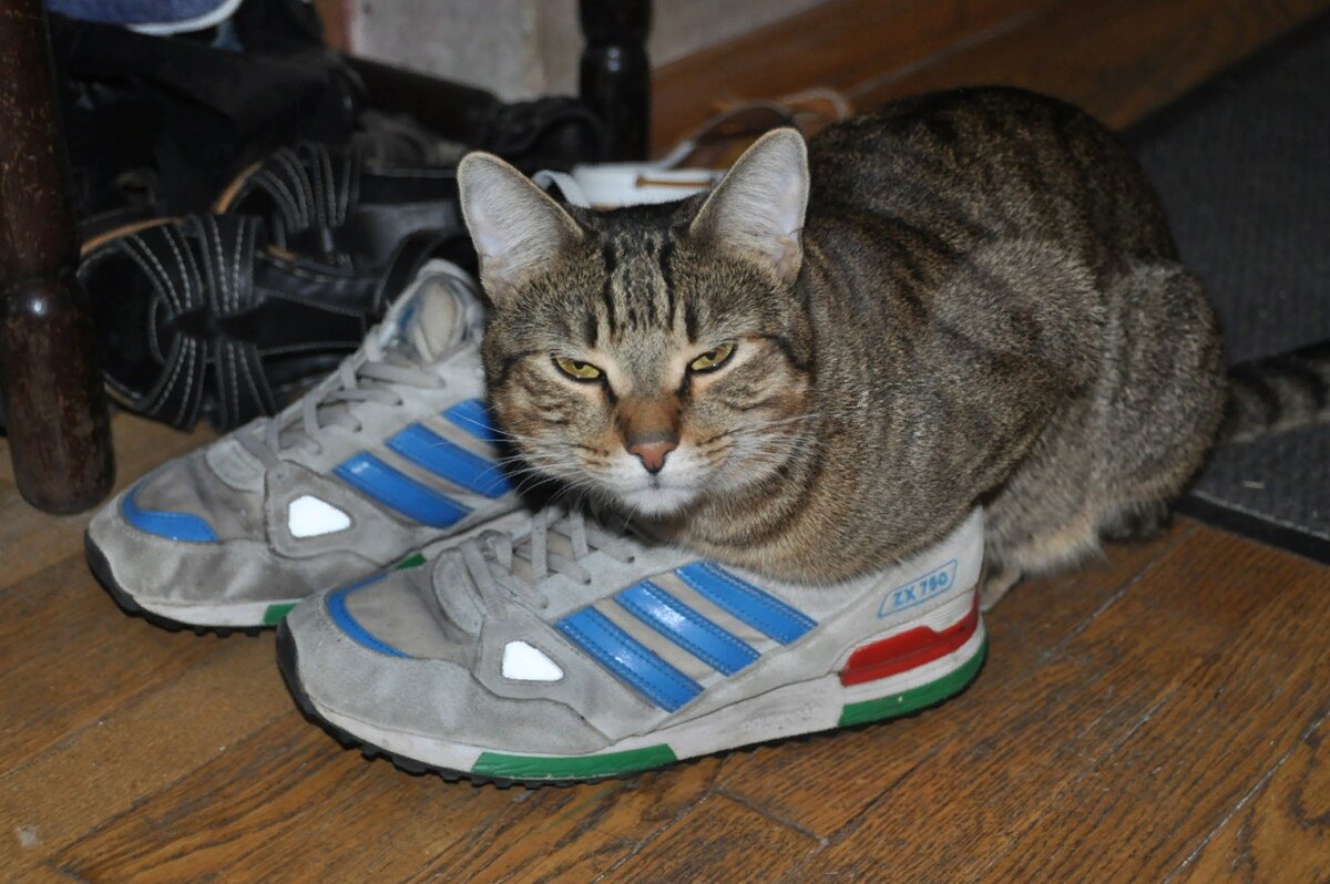 источник https://cs6.pikabu.ru/post_img/big/2014/08/25/5/1408947992_902363409.JPG