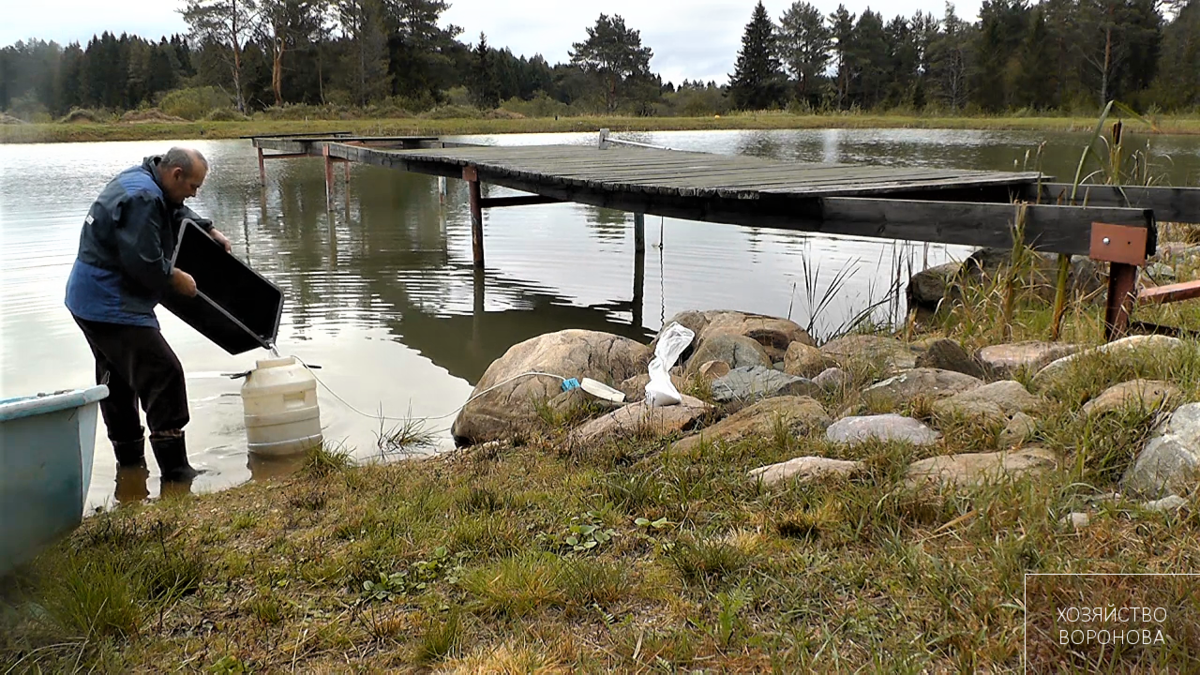 Уравнивание воды в бочке с рыбой