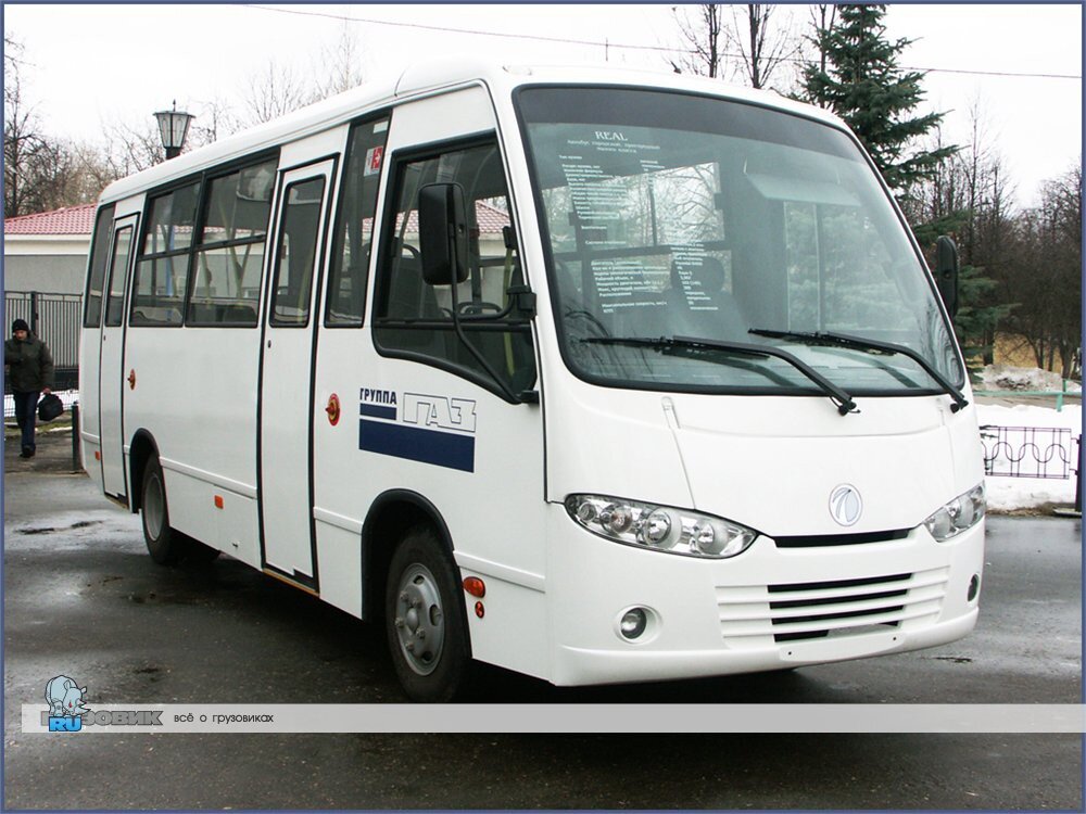 Автобус Real. (Фото из открытых источников)