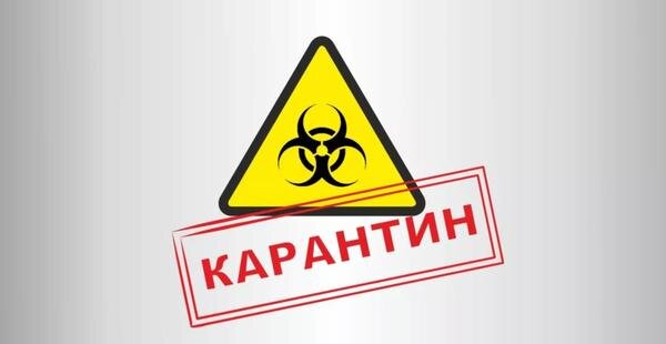 Нарушение карантина обойдется недешево. /Фото: 26-2.ru