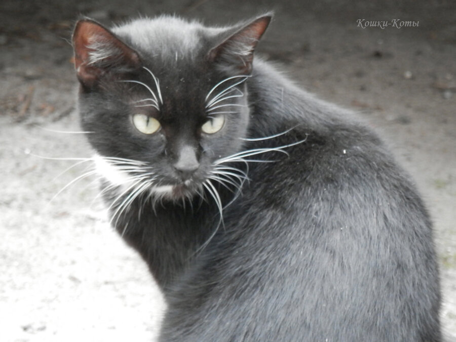 2. Не может быть.